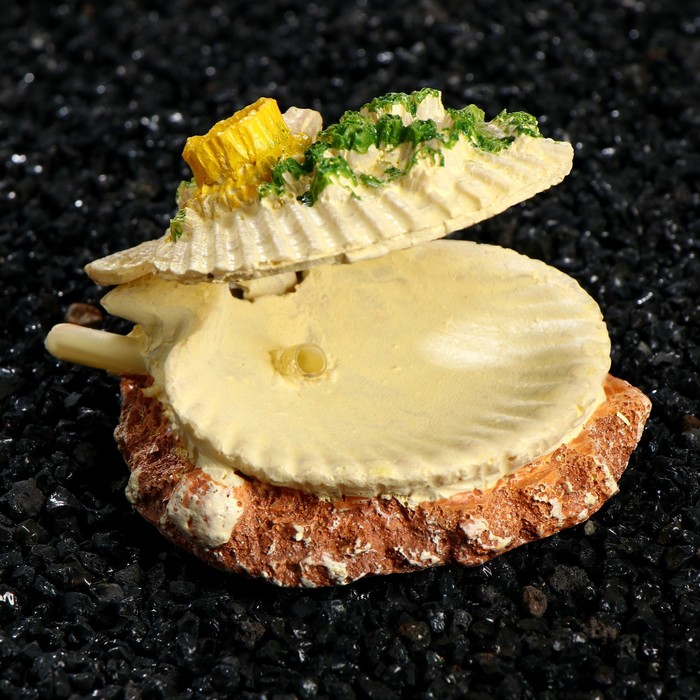 Распылитель "Ракушка", декоративная, 7 х 7 х 4 см
Распылитель "Ракушка", декоративная, 7 х 7 х 4 см