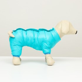 Комбинезон на кнопках, размер 10 (ДС 25 см, ОГ 34 см, ОШ 24 см), голубой 
Комбинезон на кнопках, размер 10 (ДС 25 см, ОГ 34 см, ОШ 24 см), голубой