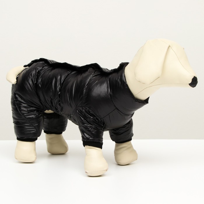 Комбинезон на кнопках, размер 10 (ДС 25 см, ОГ 34 см, ОШ 24 см), чёрный
Комбинезон на кнопках, размер 10 (ДС 25 см, ОГ 34 см, ОШ 24 см), чёрный