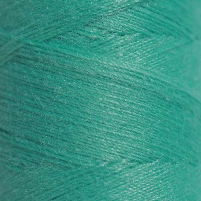 Нитки 40ЛШ, 200 м, цвет аквамарин №2809
Нитки 40ЛШ, 200 м, цвет аквамарин №2809