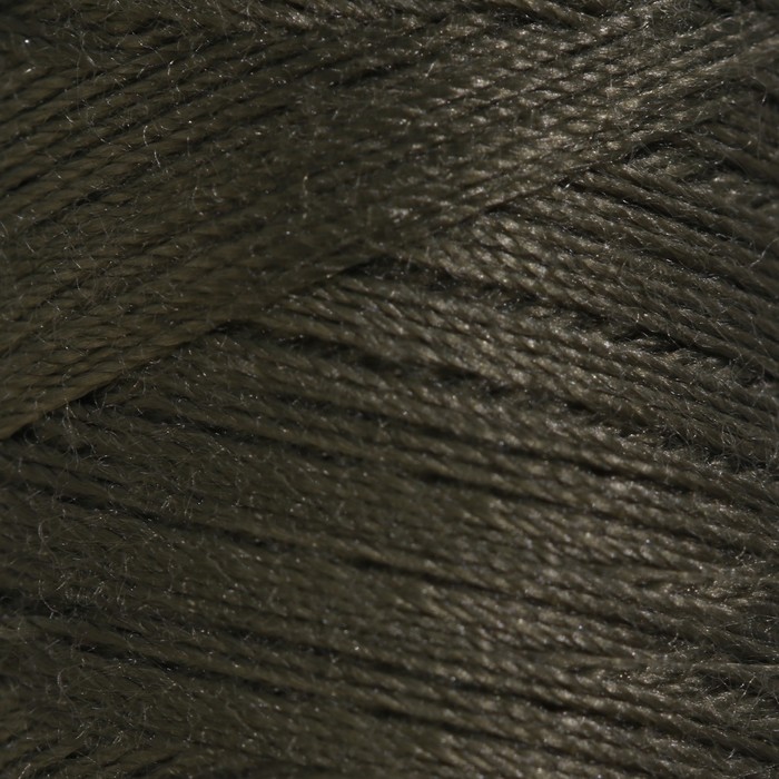 Нитки 40ЛШ, 200 м, цвет болотный №5504
Нитки 40ЛШ, 200 м, цвет болотный №5504