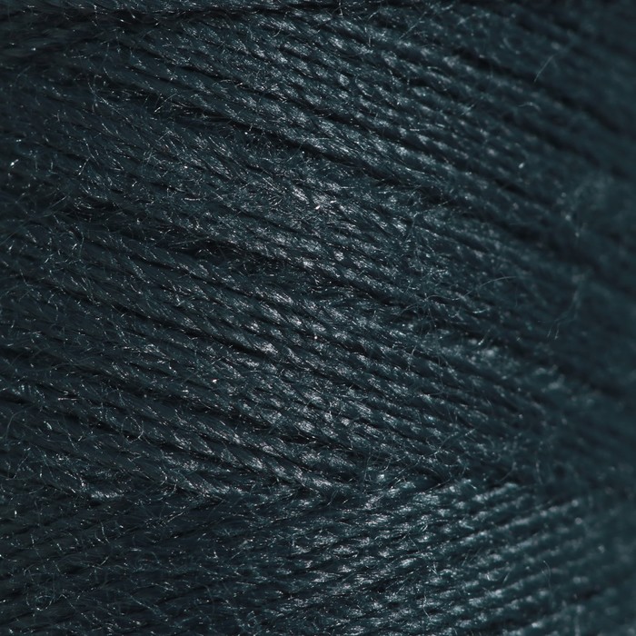 Нитки 40ЛШ, 200 м, цвет тёмно-сине-зелёный №6110
Нитки 40ЛШ, 200 м, цвет тёмно-сине-зелёный №6110