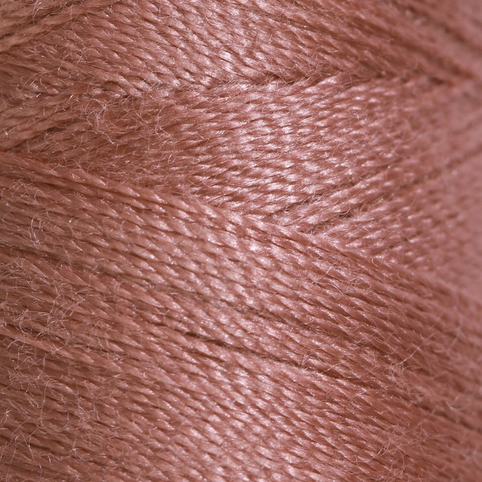 Нитки 45ЛЛ, 200 м, цвет лососёвый №5004 
Нитки 45ЛЛ, 200 м, цвет лососёвый №5004