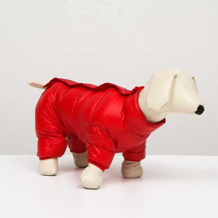 Комбинезон на кнопках, размер 10 (ДС 25 см, ОГ 34 см, ОШ 24 см), красный
Комбинезон на кнопках, размер 10 (ДС 25 см, ОГ 34 см, ОШ 24 см), красный