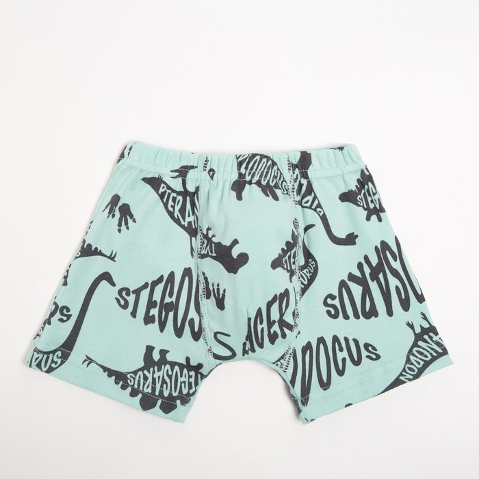 Трусы-боксеры для мальчика, цвет мятный, рост 122 см
Трусы-боксеры для мальчика, цвет мятный, рост 122 см