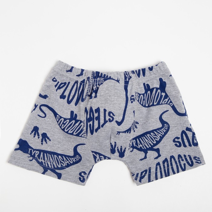 Трусы-боксеры для мальчика, цвет серый меланж, рост 98 см
Трусы-боксеры для мальчика, цвет серый меланж, рост 98 см