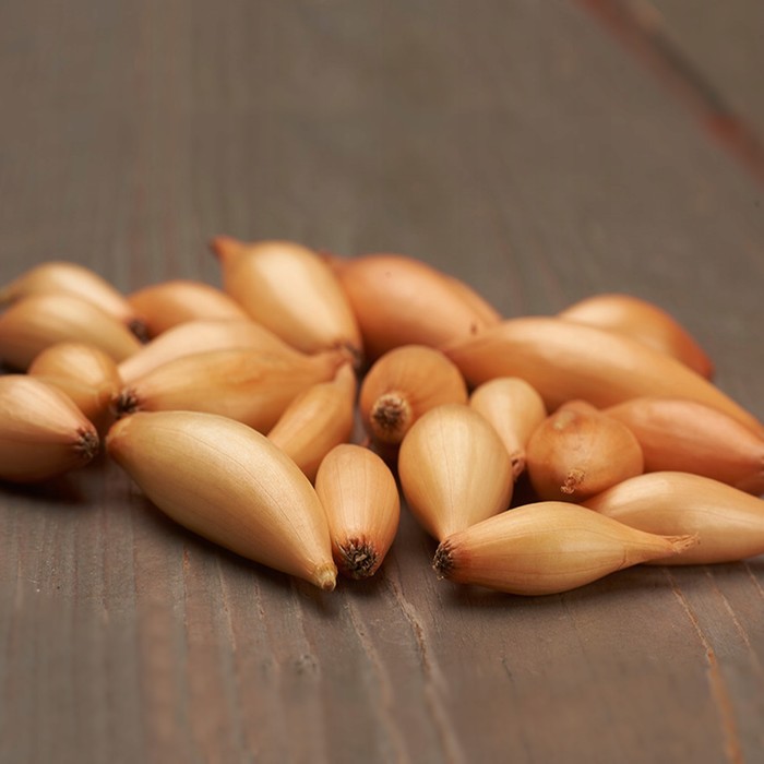 Лук севок Бирнформиге/Birnformige®, 21/24 р/р, 10 кг, (+/-10%), Голландия
Лук севок Бирнформиге/Birnformige®, 21/24 р/р, 10 кг, (+/-10%), Голландия