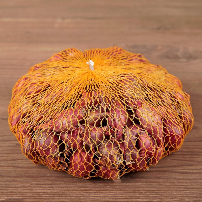 Лук севок Ред Барон/Red Baron, 21/24 р/р, 1 кг, (+/-10%), Голландия
Лук севок Ред Барон/Red Baron, 21/24 р/р, 1 кг, (+/-10%), Голландия