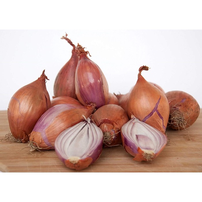 Лук шалот Ред Сан/Red Sun 7/14 р/р, 0,5 кг, (+/-10%), Голландия
Лук шалот Ред Сан/Red Sun 7/14 р/р, 0,5 кг, (+/-10%), Голландия