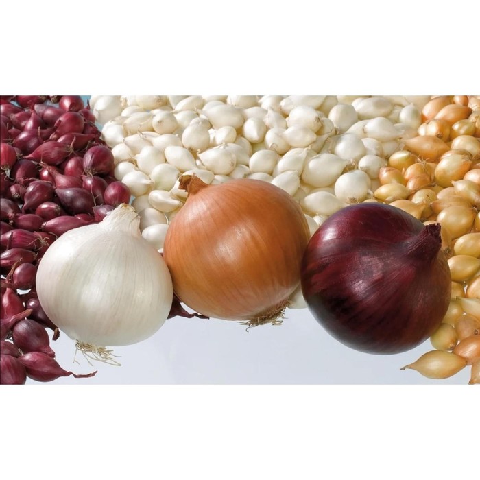 Лук севок МИКС Голландия, 21/24 р/р, 1 кг, (+/-10%), Голландия
Лук севок МИКС Голландия, 21/24 р/р, 1 кг, (+/-10%), Голландия