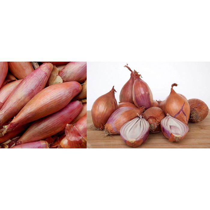 Лук шалот МИКС Голландия, 7/14 р/р, 0,5 кг, (+/-10%), Голландия
Лук шалот МИКС Голландия, 7/14 р/р, 0,5 кг, (+/-10%), Голландия