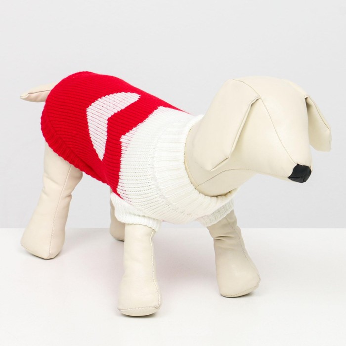 Свитер "Сердечко", XS (ДС 17, ОШ 17, ОГ 23-37 см)
Свитер "Сердечко", XS (ДС 17, ОШ 17, ОГ 23-37 см)