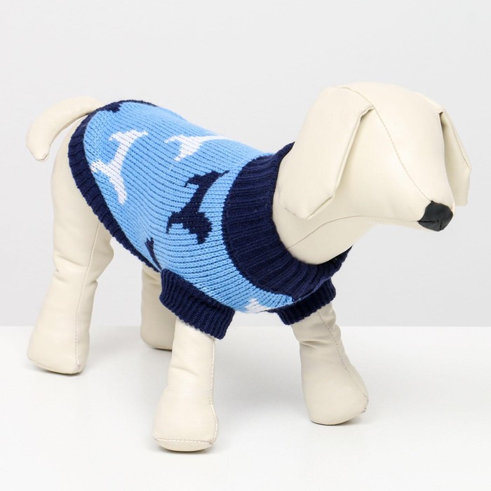 Свитер "Собачки", р-р 10 (ДС 29, ОШ 29, ОГ 29-49 см), голубой
Свитер "Собачки", р-р 10 (ДС 29, ОШ 29, ОГ 29-49 см), голубой