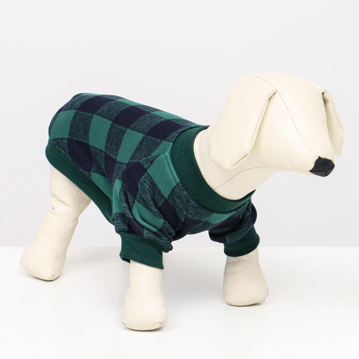 Толстовка "Тартан", размер M (ДС 30, ОШ 30, ОГ 40 см), зелёная 
Толстовка "Тартан", размер M (ДС 30, ОШ 30, ОГ 40 см), зелёная