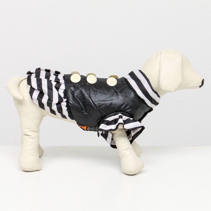 фото Курточка для собак с воланами, размер 2 (дс 23,ош 26, ог 33 см), чёрная