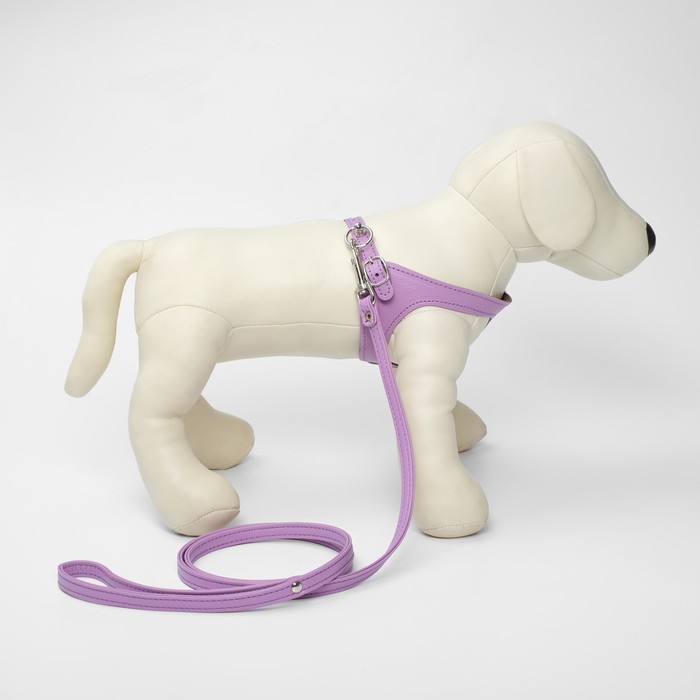 Комплект из экокожи, сиреневый (жилетка 28-31 см, поводок 120х1 см)
Комплект из экокожи, сиреневый (жилетка 28-31 см, поводок 120х1 см)