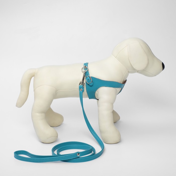 Комплект амуниции из экокожи, бирюзовый (жилетка 28-31 см, поводок 120х1 см)
Комплект амуниции из экокожи, бирюзовый (жилетка 28-31 см, поводок 120х1 см)