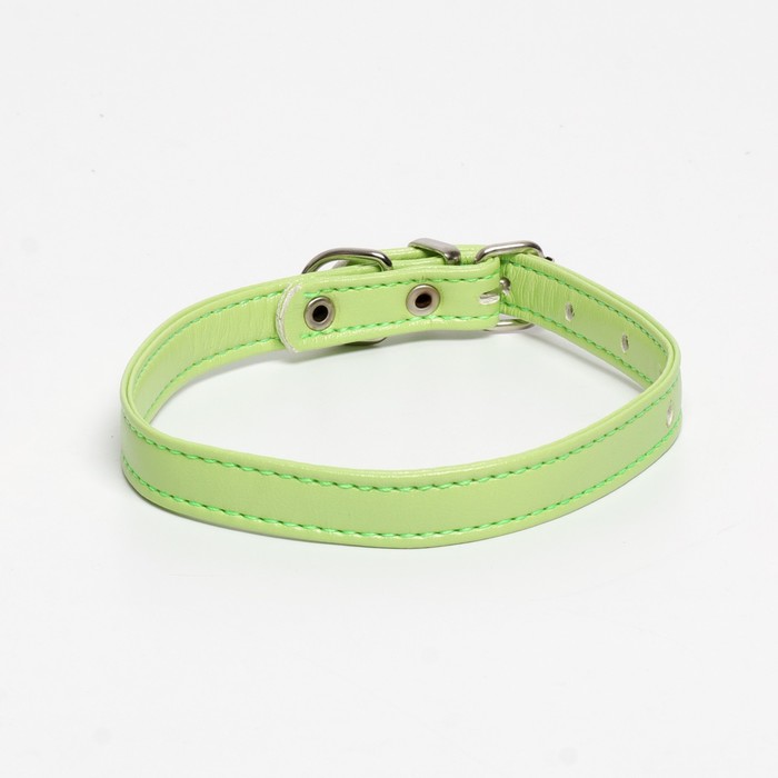 Ошейник из экокожи салатовый, размер 26-34 см, ширина 1.4 см
Ошейник из экокожи салатовый, размер 26-34 см, ширина 1.4 см
