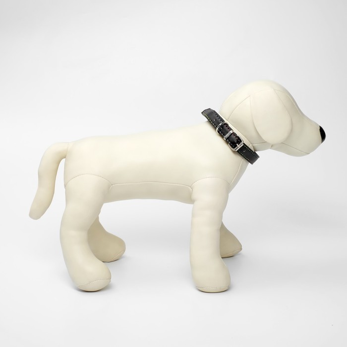 Ошейник из экокожи чёрный, размер 26-34 см, ширина 1.6 см
Ошейник из экокожи чёрный, размер 26-34 см, ширина 1.6 см