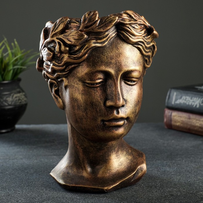 Кашпо - органайзер "Голова Венеры" бронза 22х15,5см
Кашпо - органайзер "Голова Венеры" бронза 22х15,5см