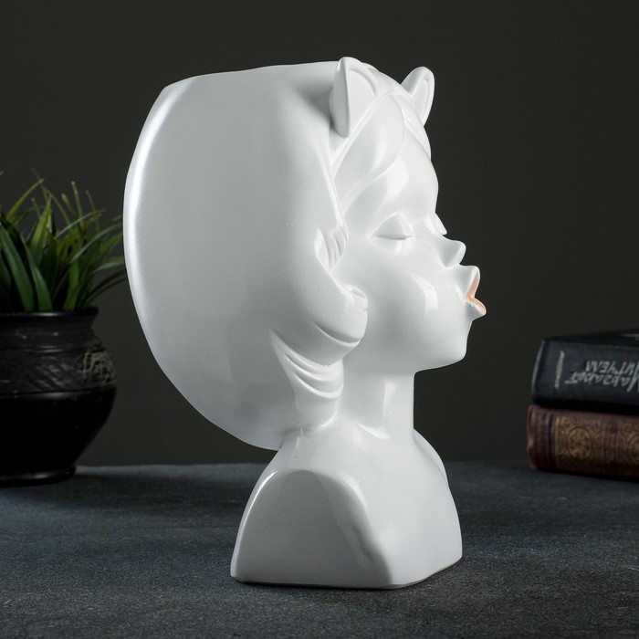 Кашпо - органайзер "Девочка с ушками" белая 21,5х15х15см
Кашпо - органайзер "Девочка с ушками" белая 21,5х15х15см