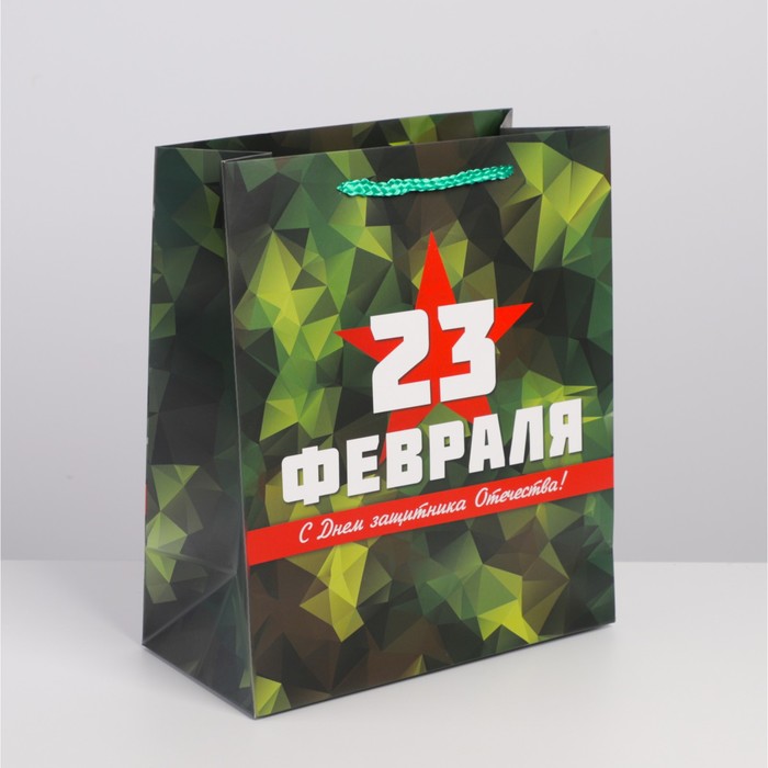Пакет подарочный ламинированный вертикальный, упаковка, «Защитник», ML 23 х 27 х 11.5 см
Пакет подарочный ламинированный вертикальный, упаковка, «Защитник», ML 23 х 27 х 11.5 см