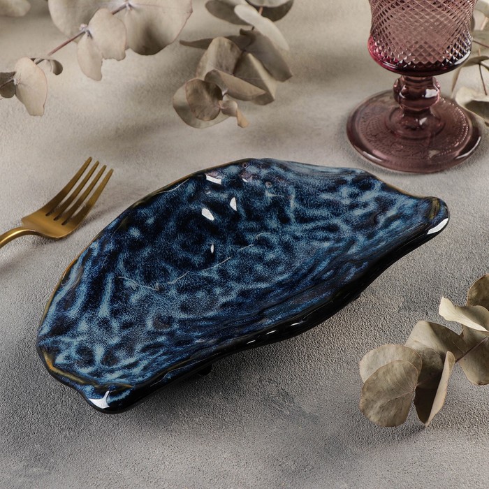 Блюдо для подачи «Лунная тропа», 23,2×12×4 см 
Блюдо для подачи «Лунная тропа», 23,2×12×4 см