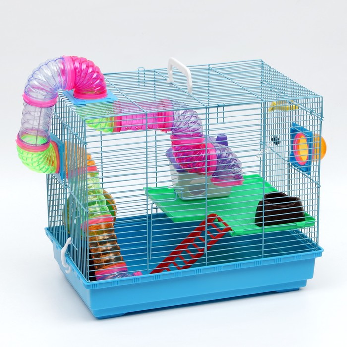 Клетка для грызунов укомплектованная с туннелем 40 х 30 х 38 см
Клетка для грызунов укомплектованная с туннелем 40 х 30 х 38 см