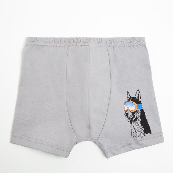 Трусы-боксеры для мальчика, цвет серый/рис. Пёс, рост 110 см (р.28)
Трусы-боксеры для мальчика, цвет серый/рис. Пёс, рост 110 см (р.28)