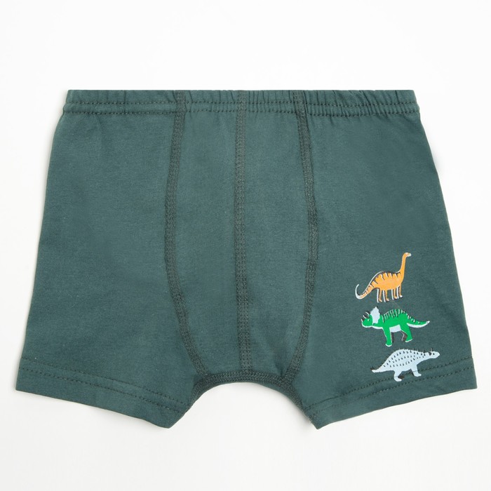 Трусы-боксеры для мальчика, цвет тёмно-зелёный/рис. Динозавры, рост 146 см (р.36)
Трусы-боксеры для мальчика, цвет тёмно-зелёный/рис. Динозавры, рост 146 см (р.36)