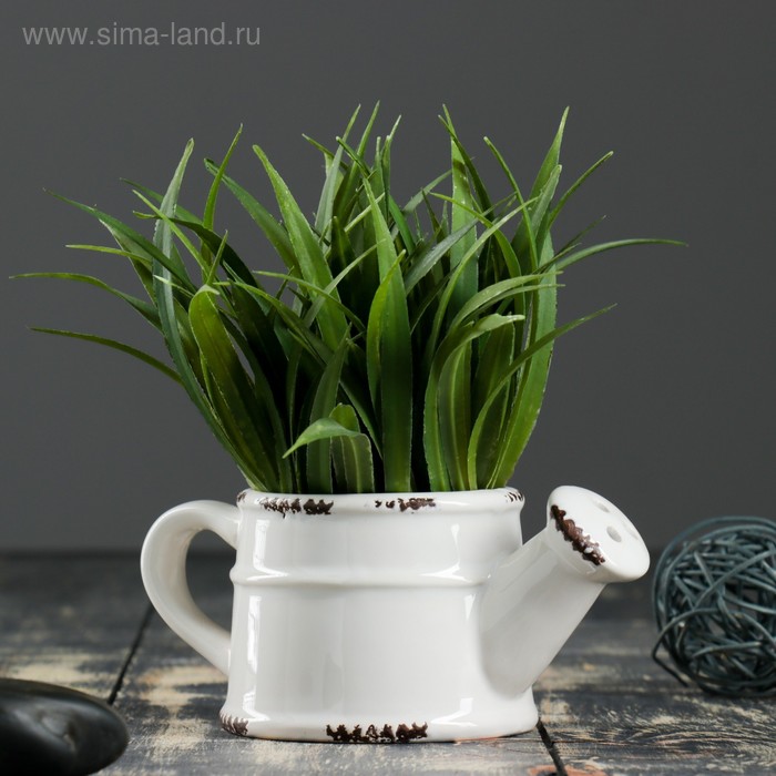 Кашпо "Симпл" белое, 8х13х7см
Кашпо "Симпл" белое, 8х13х7см