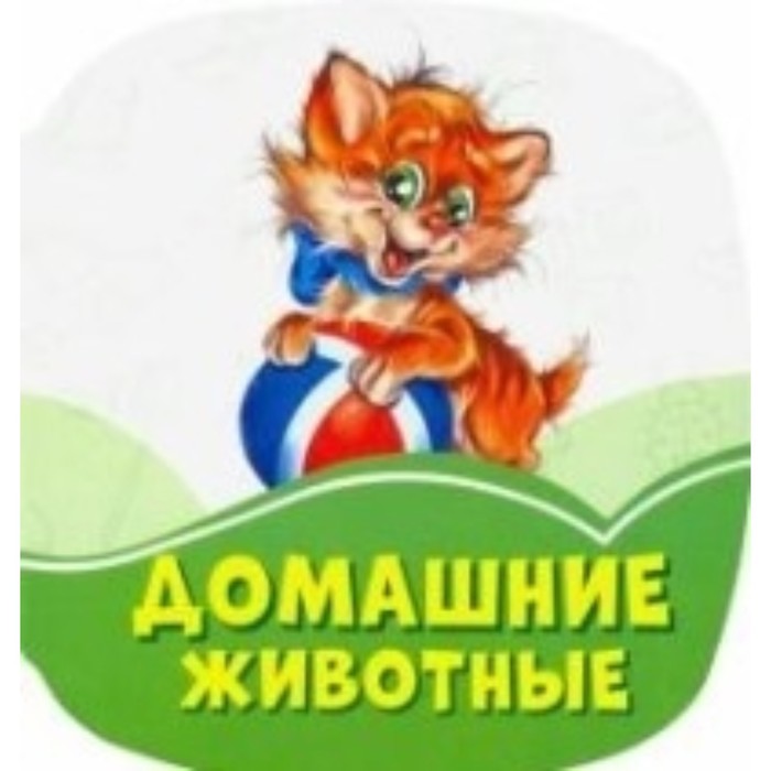 Домашние животные
Домашние животные
