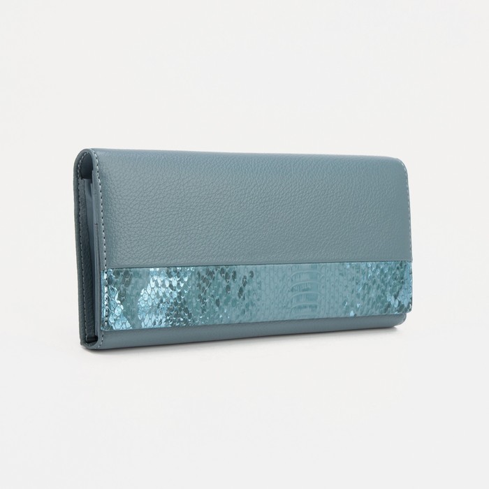 Кошелёк на магнитах, цвет голубой
Кошелёк на магнитах, цвет голубой