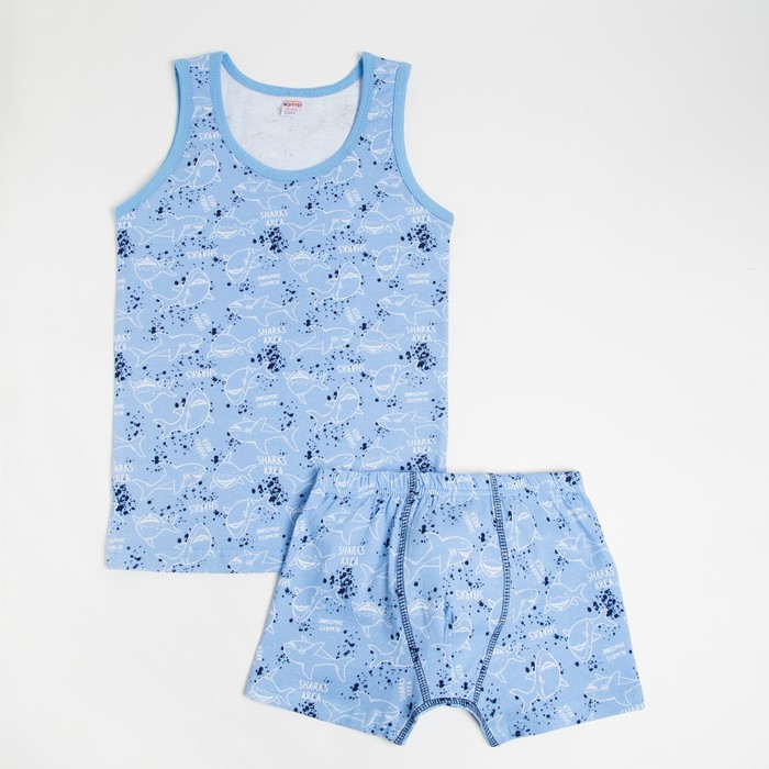 Комплект (майка, трусы) для мальчика, цвет голубой, рост 134 см
Комплект (майка, трусы) для мальчика, цвет голубой, рост 134 см