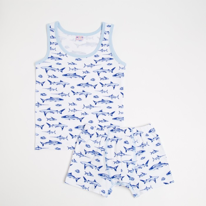 Комплект (майка, трусы) для мальчика, цвет голубой, рост 116 см
Комплект (майка, трусы) для мальчика, цвет голубой, рост 116 см