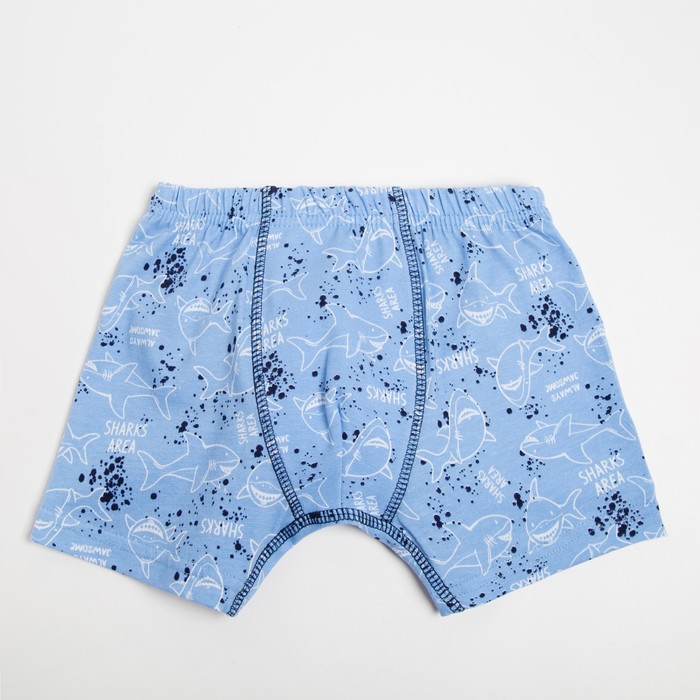 Трусы-боксеры для мальчика, цвет голубой, рост 140 см
Трусы-боксеры для мальчика, цвет голубой, рост 140 см