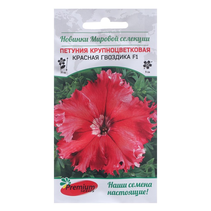 Семена цветов Петуния крупноцветковая Красная гвоздика F1 7 шт.
Семена цветов Петуния крупноцветковая Красная гвоздика F1 7 шт.