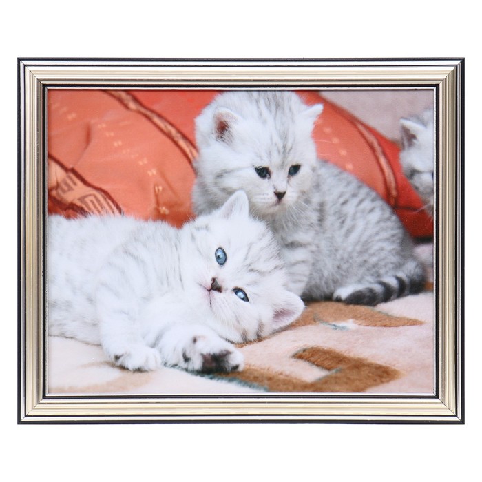 Картина "Два пушистика" 20х25(23,5х28,5) см
Картина "Два пушистика" 20х25(23,5х28,5) см