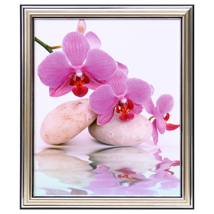 Картина "Орхидея" 20х25(23,5х28,5) см
Картина "Орхидея" 20х25(23,5х28,5) см