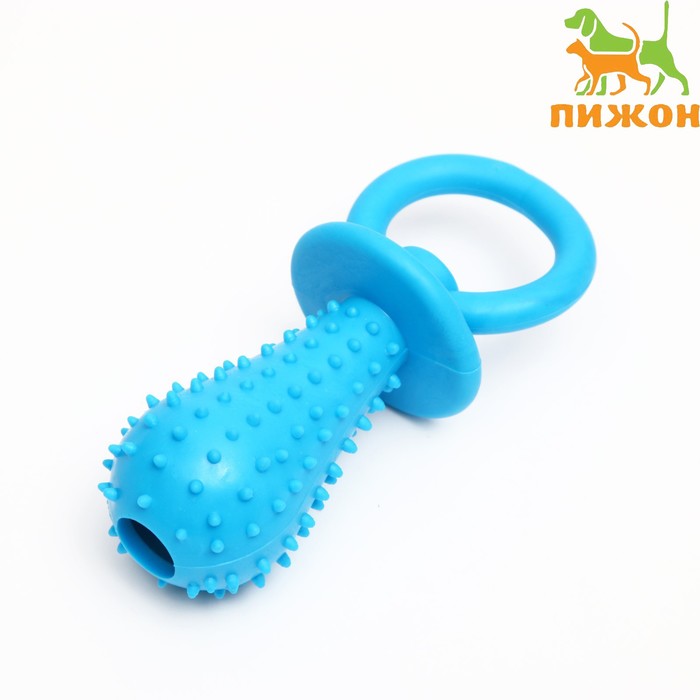 Игрушка жевательная "Соска", TPR, 10 х 3 см, голубая
Игрушка жевательная "Соска", TPR, 10 х 3 см, голубая