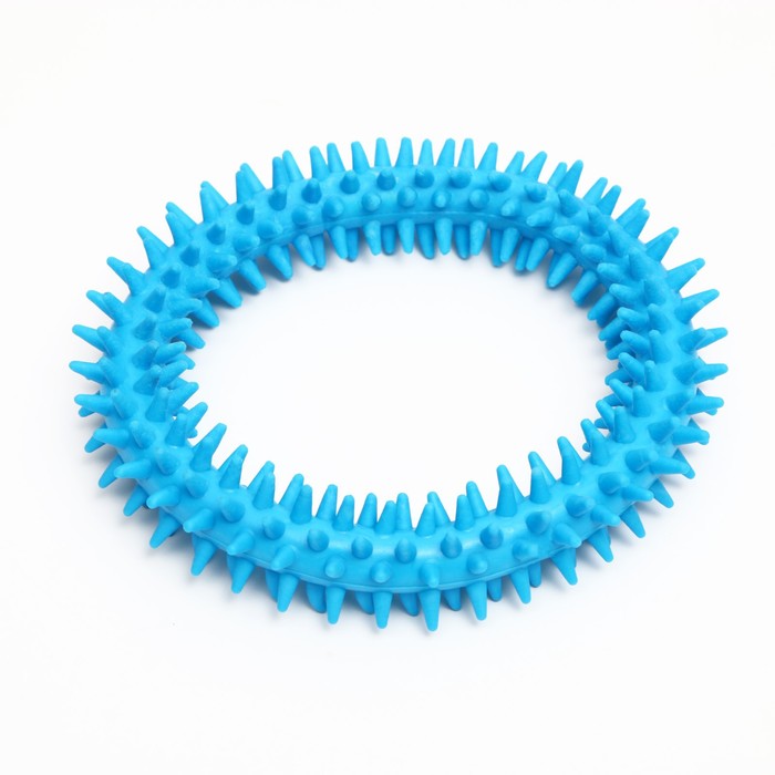 фото Игрушка для собак "кольцо с шипами", 12,5 см, голубая пижон