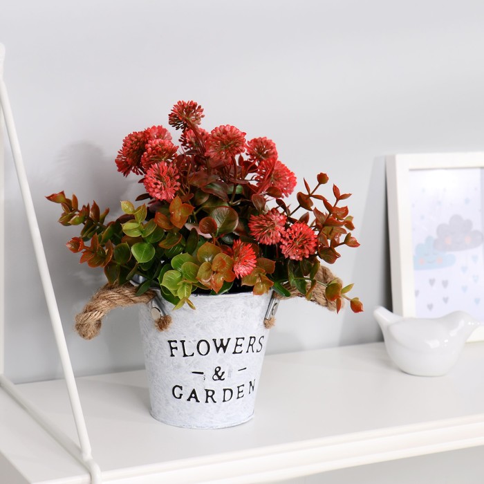 Бонсай "Азара альпийская" 11х22 см, микс
Бонсай "Азара альпийская" 11х22 см, микс