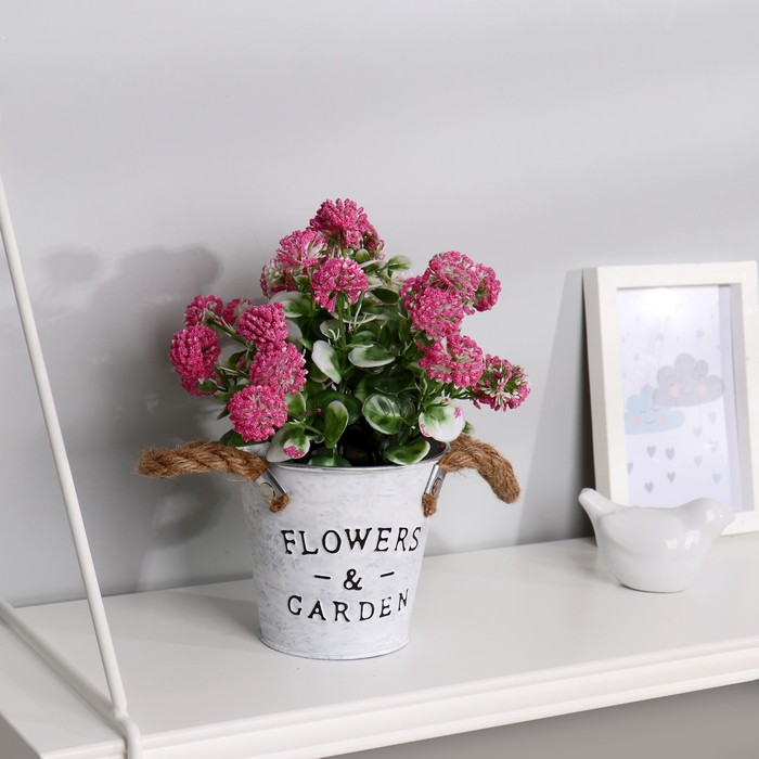 Бонсай "Гортензия крупнолистная" 11х22 см, микс
Бонсай "Гортензия крупнолистная" 11х22 см, микс