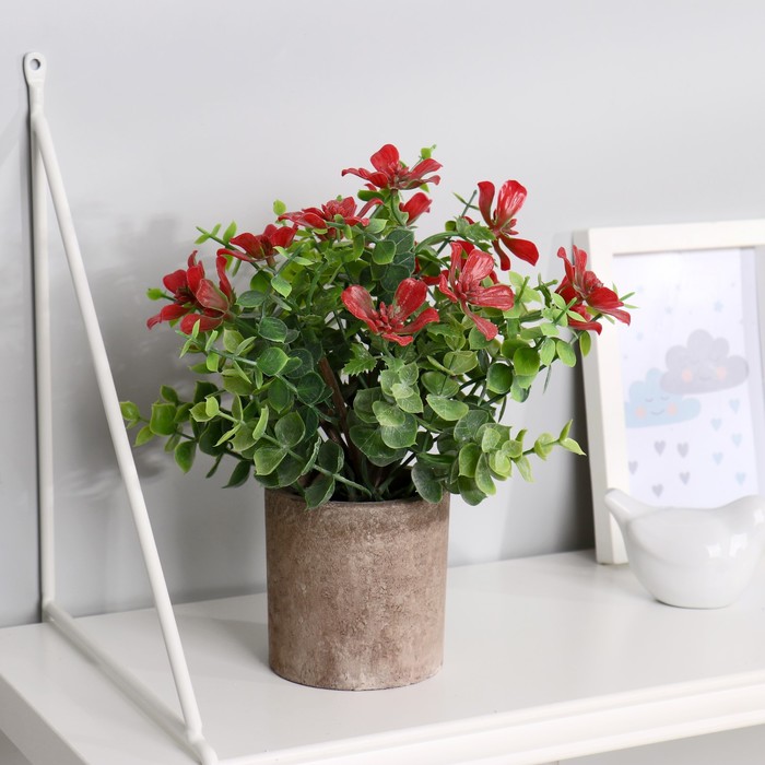 Бонсай "Жимолость" 7,5х21 см, микс
Бонсай "Жимолость" 7,5х21 см, микс