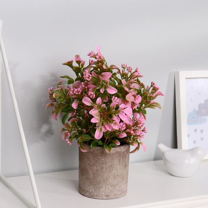 Бонсай "Бересклет" 7,5х21 см, микс 
Бонсай "Бересклет" 7,5х21 см, микс