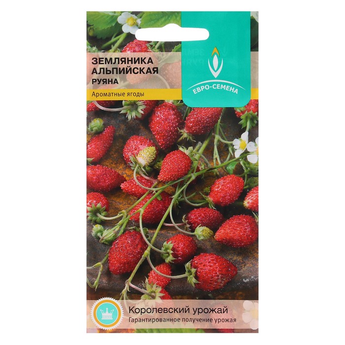 Семена Земляника Руяна альпийская цв/п 0,1 гр.шт
Семена Земляника Руяна альпийская цв/п 0,1 гр.шт