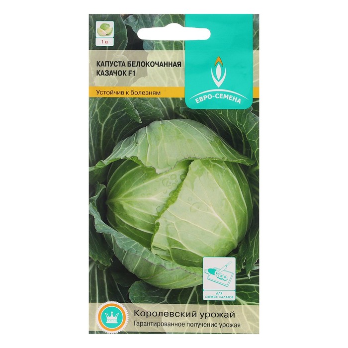 Семена Капуста "Евро-семена", белокочанная, "Казачок F1", цв/п, 0,1 г
Семена Капуста "Евро-семена", белокочанная, "Казачок F1", цв/п, 0,1 г