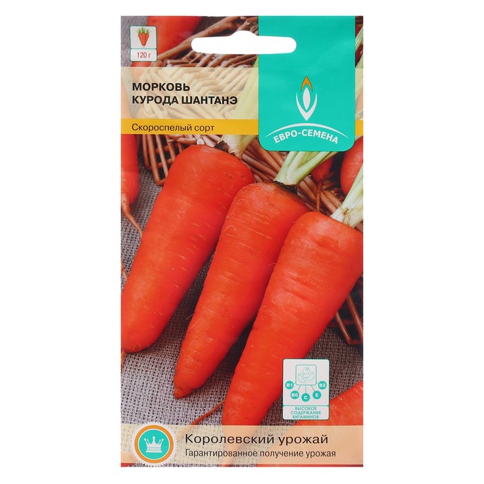 Семена Морковь Курода Шантенэ цв/п 2 гр.
Семена Морковь Курода Шантенэ цв/п 2 гр.