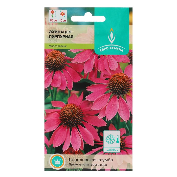 Семена цветов Эхинацея "Евро-семена" Пурпурная, цв/п, многолетник, 0,25 г
Семена цветов Эхинацея "Евро-семена" Пурпурная, цв/п, многолетник, 0,25 г