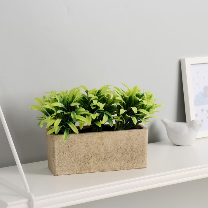 Бонсай "Черемша" 17х7х15 см
Бонсай "Черемша" 17х7х15 см